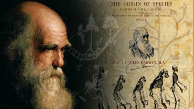 L’inganno della vulgata evoluzionista